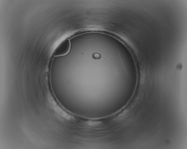 X0000110971325200906191326