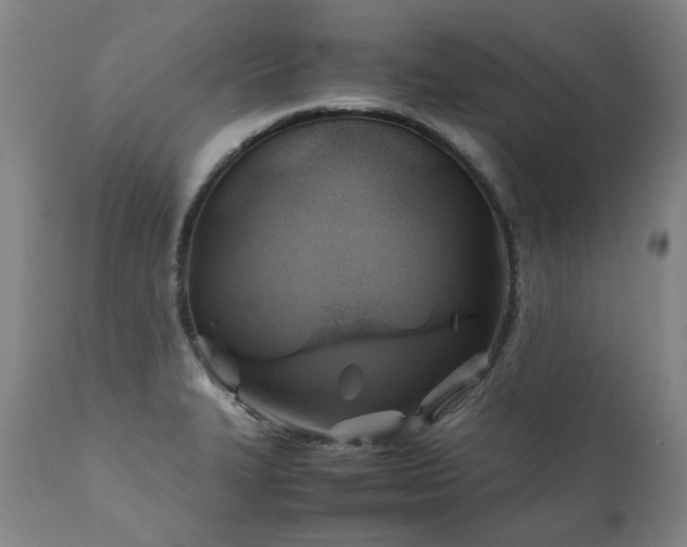 X0000110971327200906191326