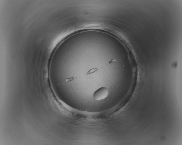 X0000110971328200906191326