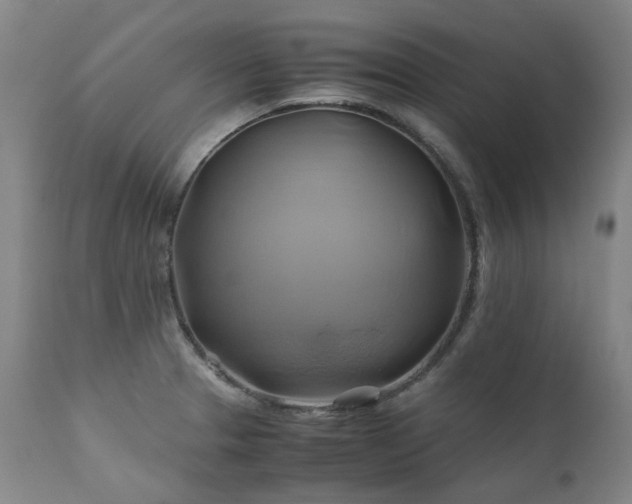 X0000110971329200906191326