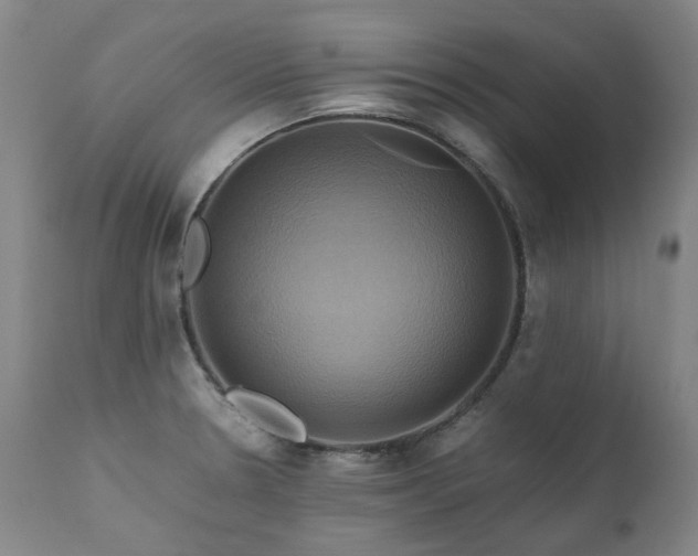 X0000110971330200906191326