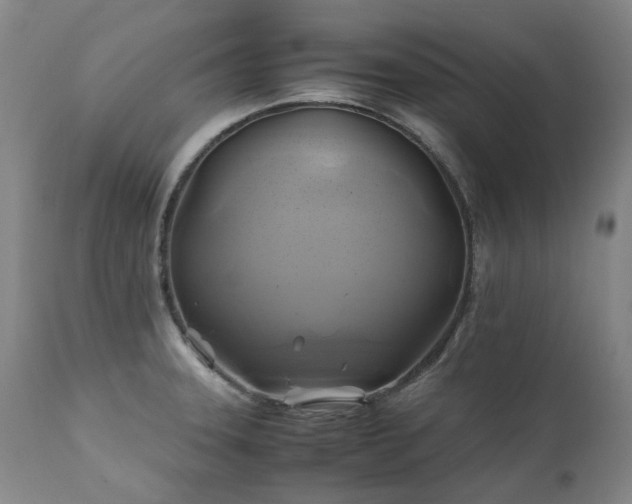 X0000110971331200906191326