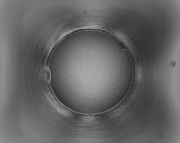 X0000110971332200906191326