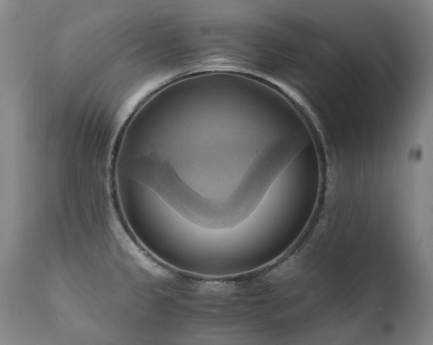 X0000110971333200906191326