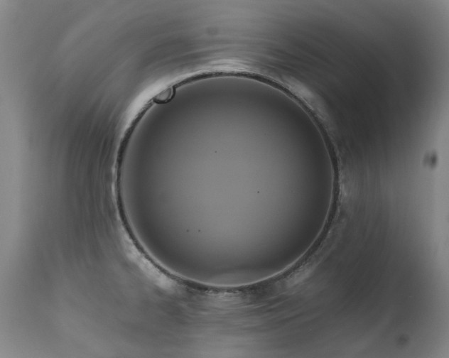 X0000110971334200906191326