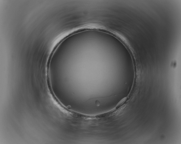 X0000110971335200906191326