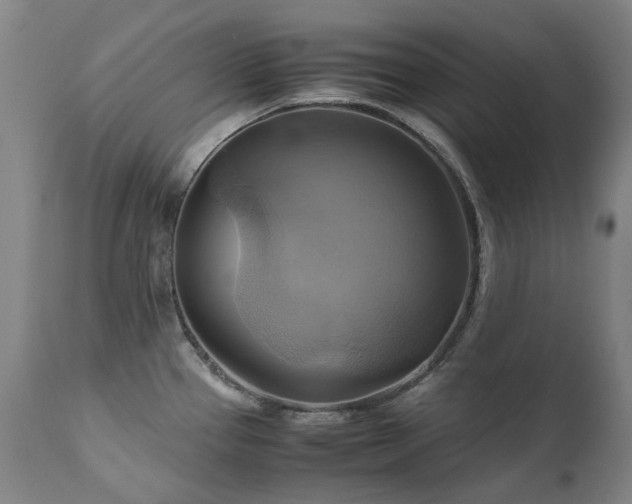 X0000110971337200906191326