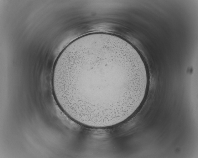 X0000110971338200906191326