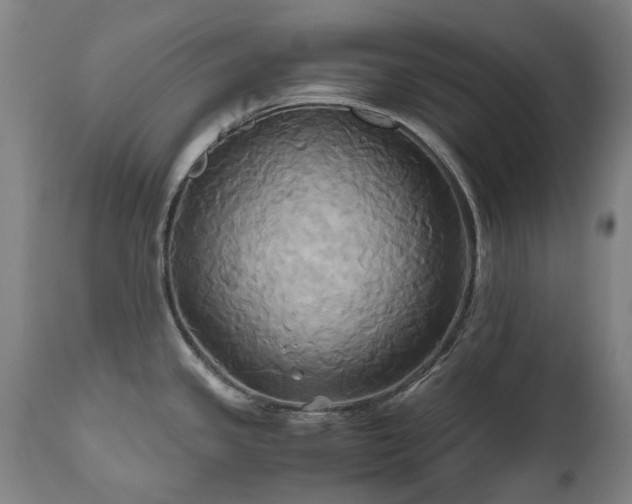 X0000110971341200906191327