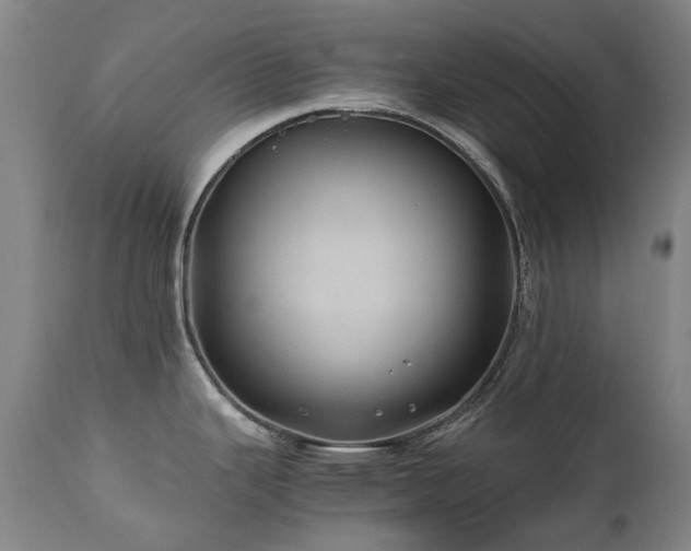 X0000110971343200906191327