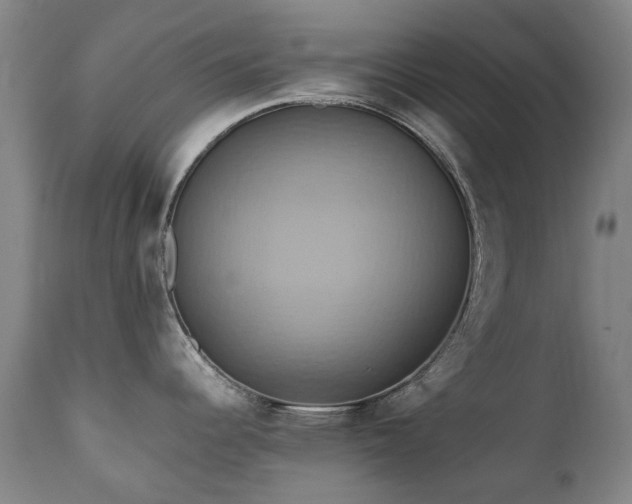 X0000110971344200906191327