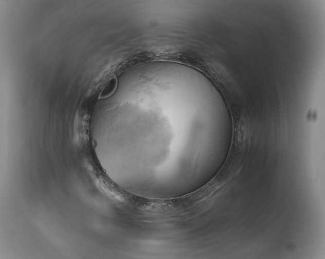 X0000110971346200906191326