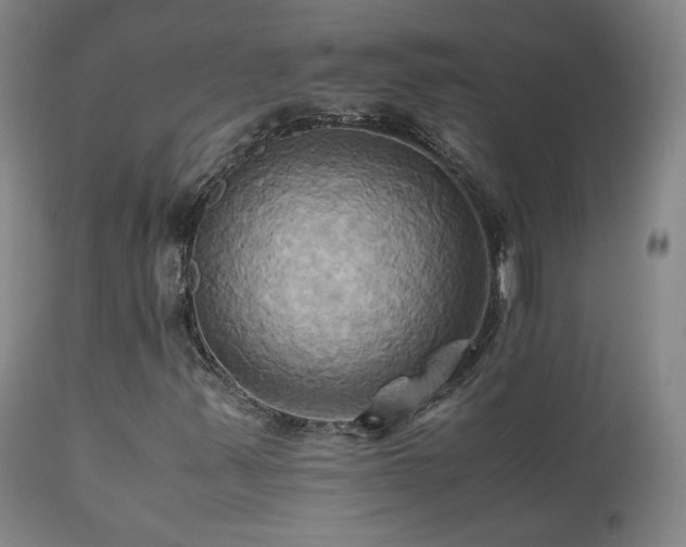 X0000110971347200906191326