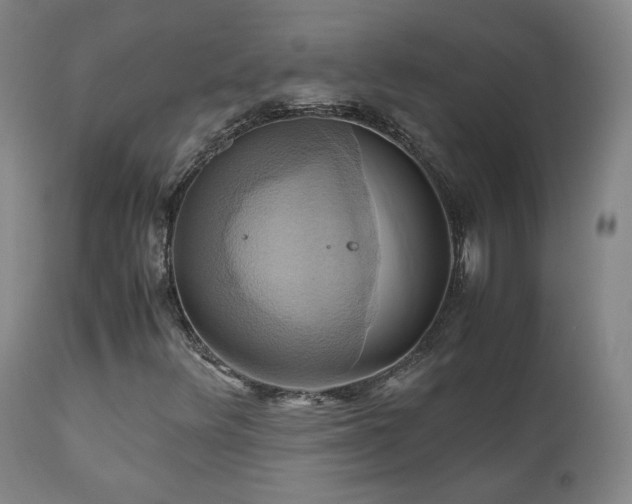 X0000110971348200906191326