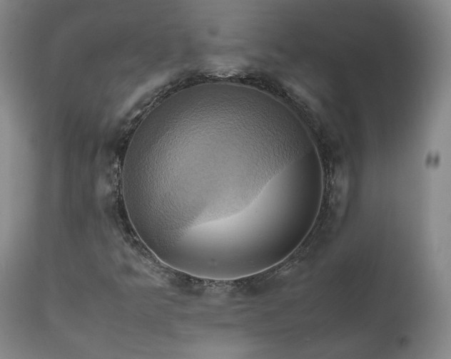 X0000110971349200906191326