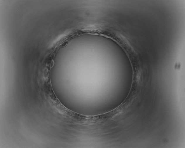 X0000110971350200906191326