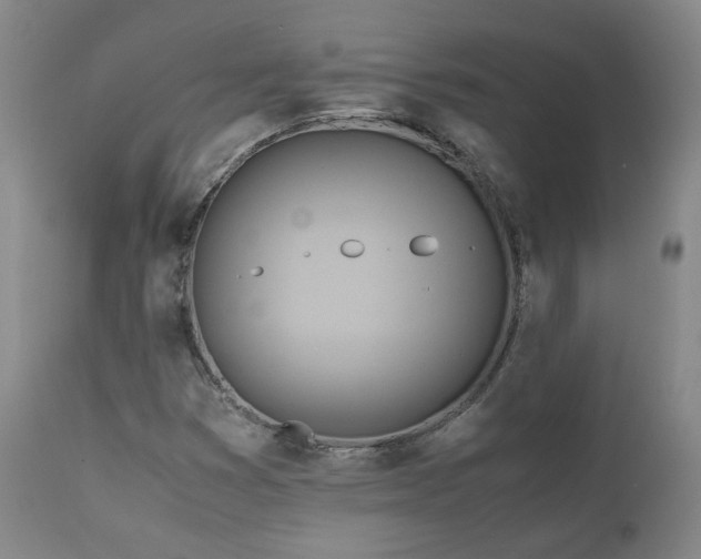 X0000110971353200906191326