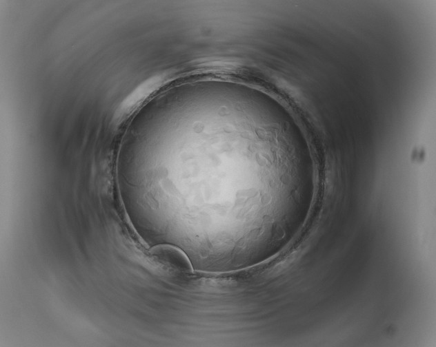 X0000110971354200906191326