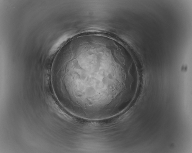 X0000110971355200906191326