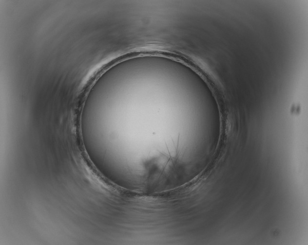 X0000110971356200906191326