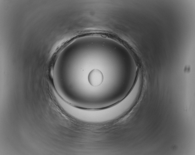 X0000110971357200906191326