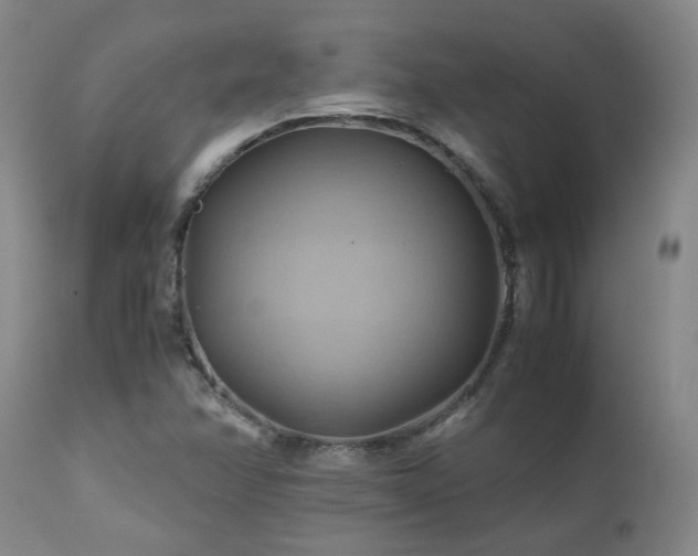 X0000110971358200906191326