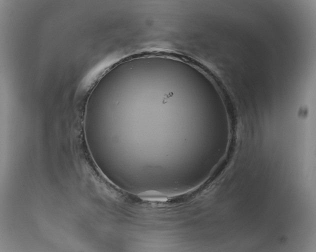 X0000110971359200906191326