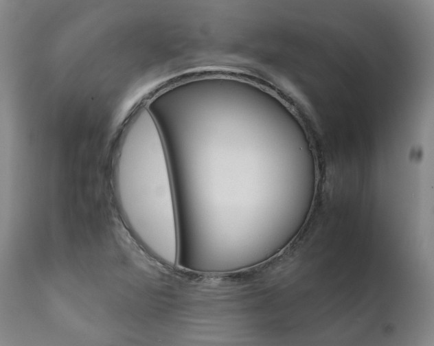 X0000110971360200906191326