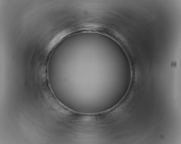 X0000110971362200906191326