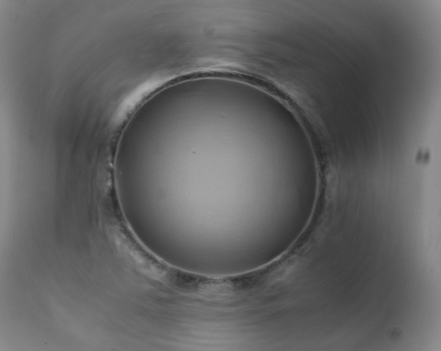 X0000110971363200906191325