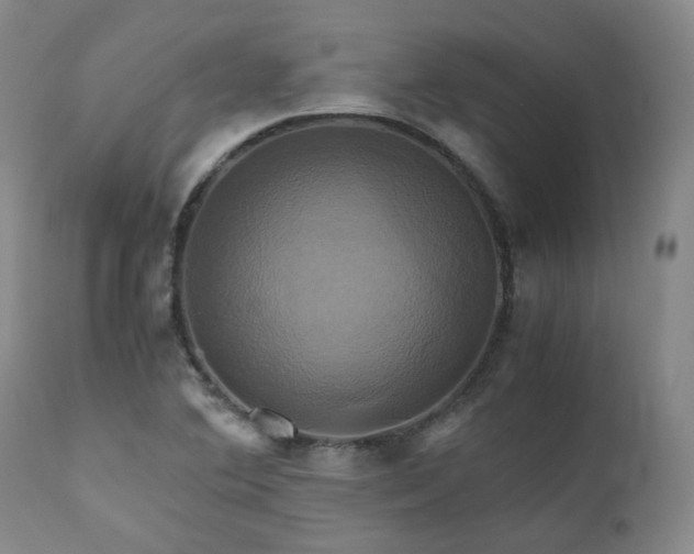 X0000110971364200906191325