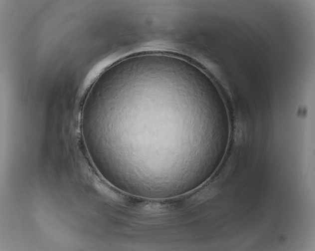 X0000110971366200906191325