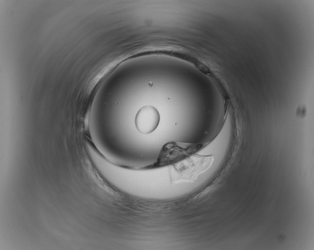 X0000110971369200906191325