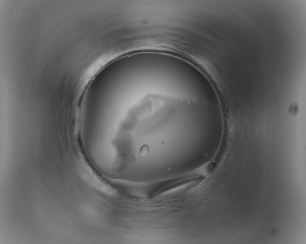 X0000110971371200906191325