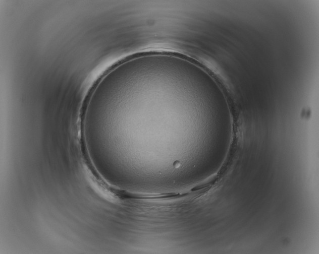 X0000110971372200906191325