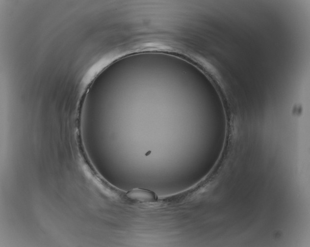 X0000110971373200906191325