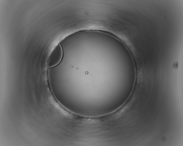 X0000110971374200906191325