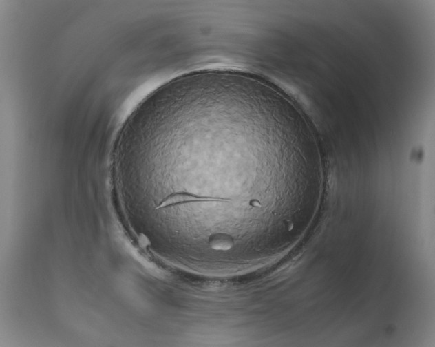 X0000110971375200906191325