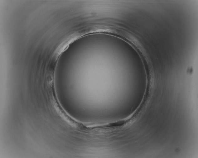 X0000110971377200906191325