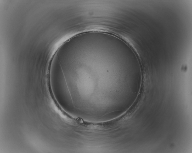 X0000110971379200906191325