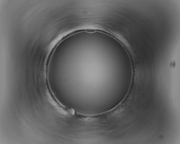 X0000110971380200906191325