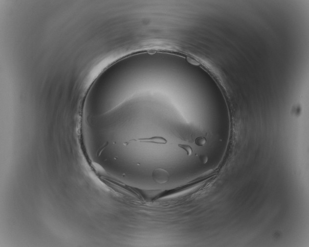 X0000110971383200906191325