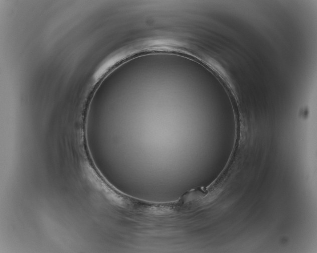 X0000110971384200906191325