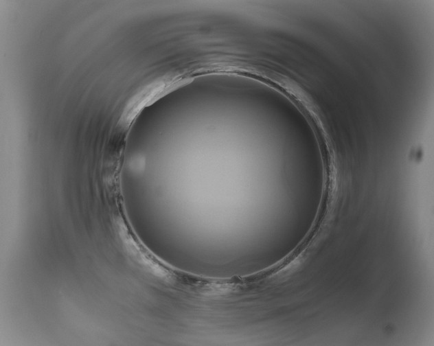 X0000110971385200906191325