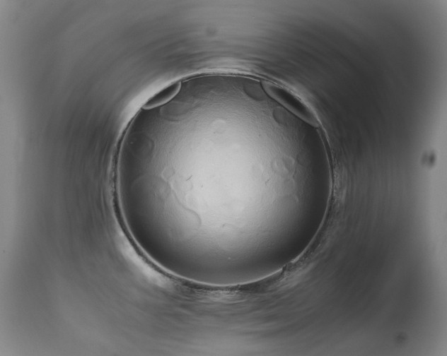 X0000110971387200906191325