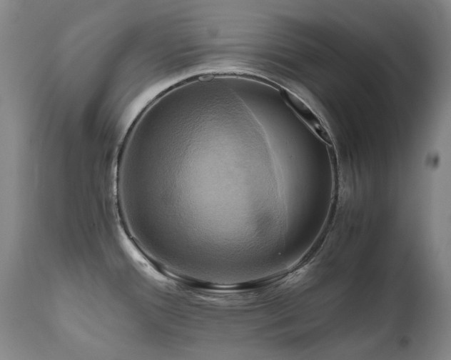 X0000110971388200906191325