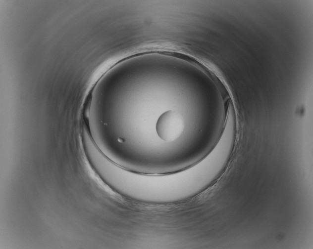 X0000110971389200906191325