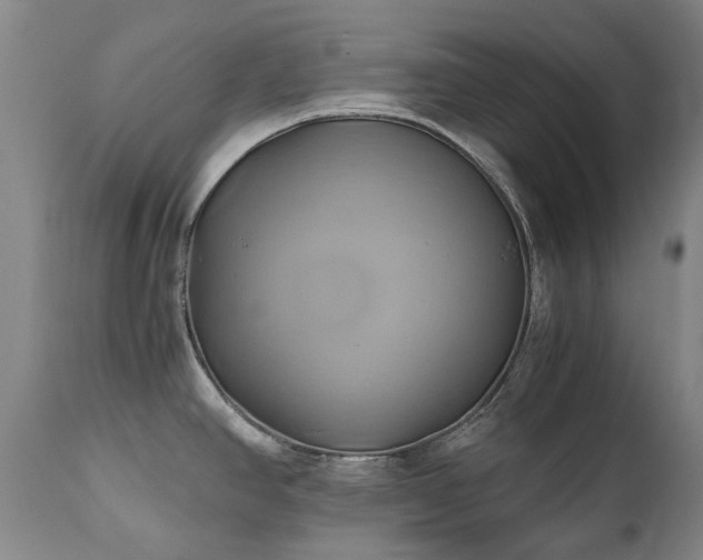 X0000110971390200906191325