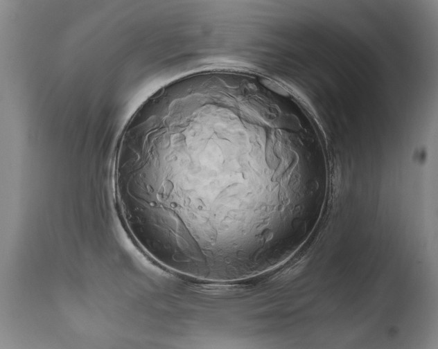 X0000110971391200906191325