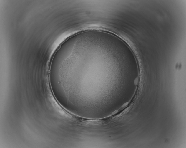 X0000110971392200906191325